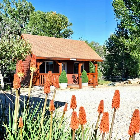 Villa Arrowhead Country Cabins Mount Carmel Exterior foto